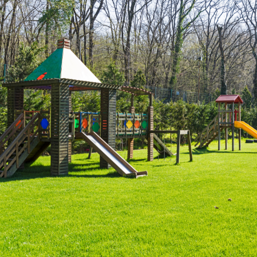 Playground & Recreational Turf