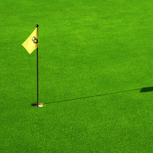 Putting Greens & Sports Turf